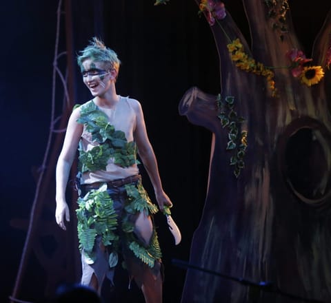 Peter Pan — flying scene lit in night blues